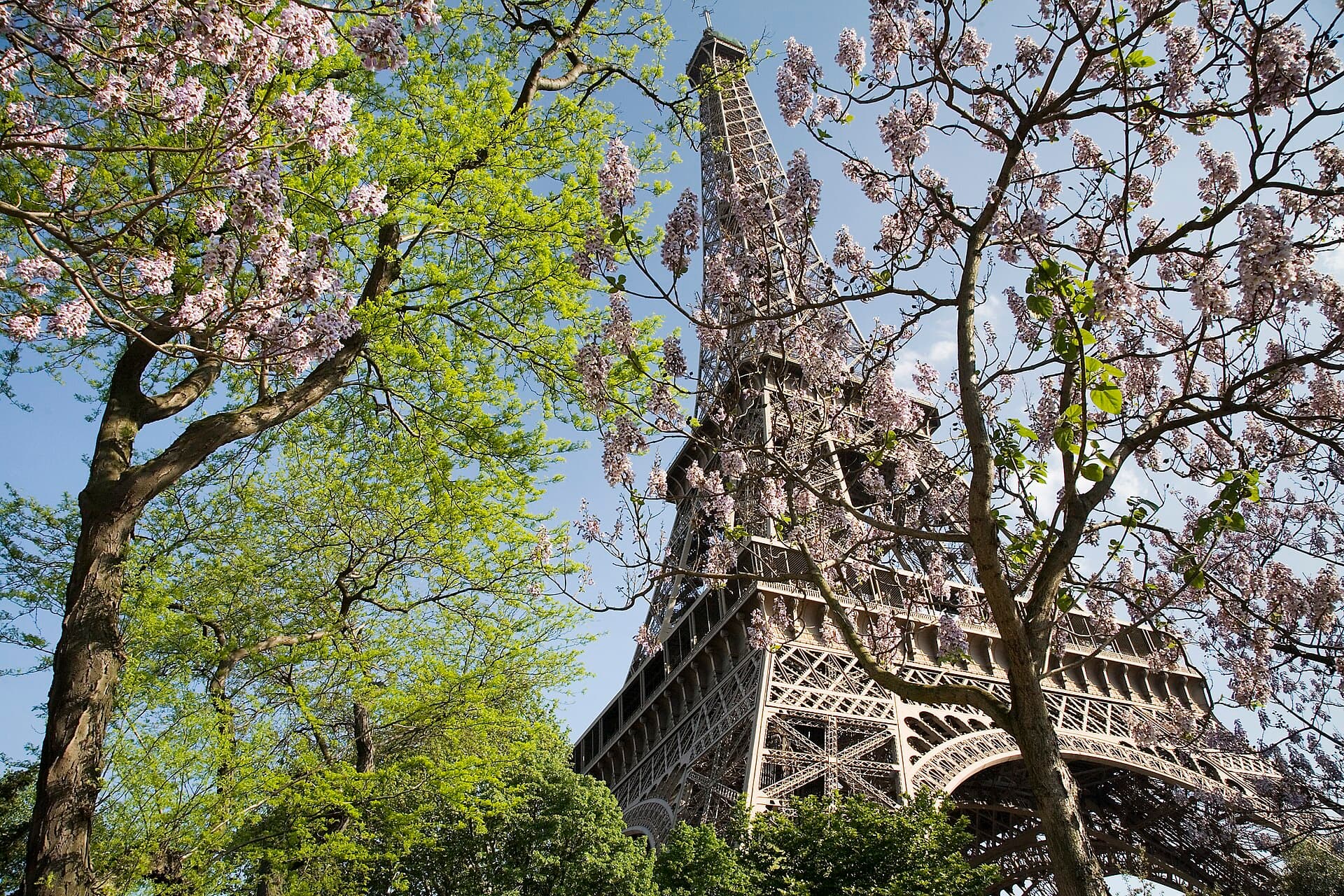 Torre Eiffel vista do Trocadéro, em Paris