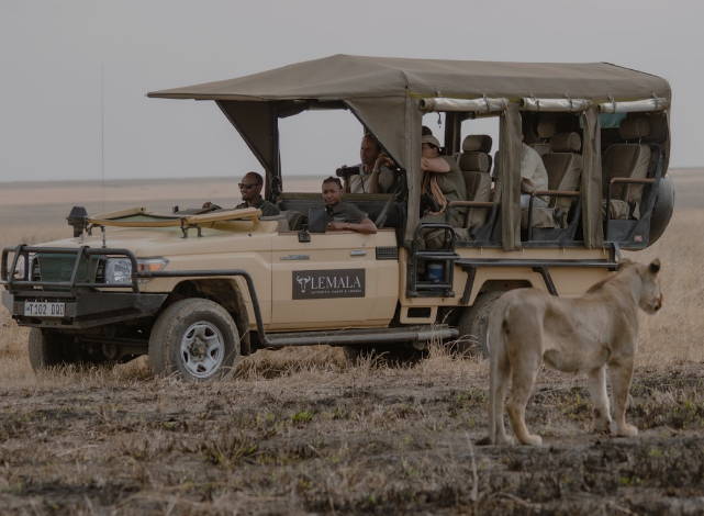 Safari em Nairóbi e Masai Mara: Como Planejar a Experiência